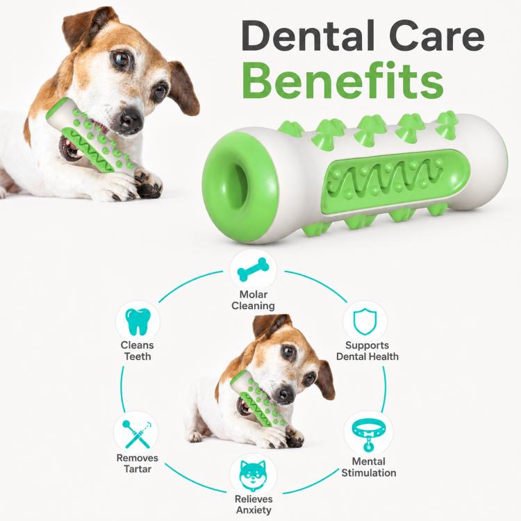 Green and gray dog dental care chew toy with ridged inner groove and spiky nubs
