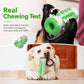 Dog teething stick toy, white shell with green bone ridges and handle ring