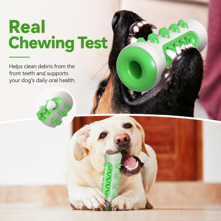 Dog teething stick toy, white shell with green bone ridges and handle ring