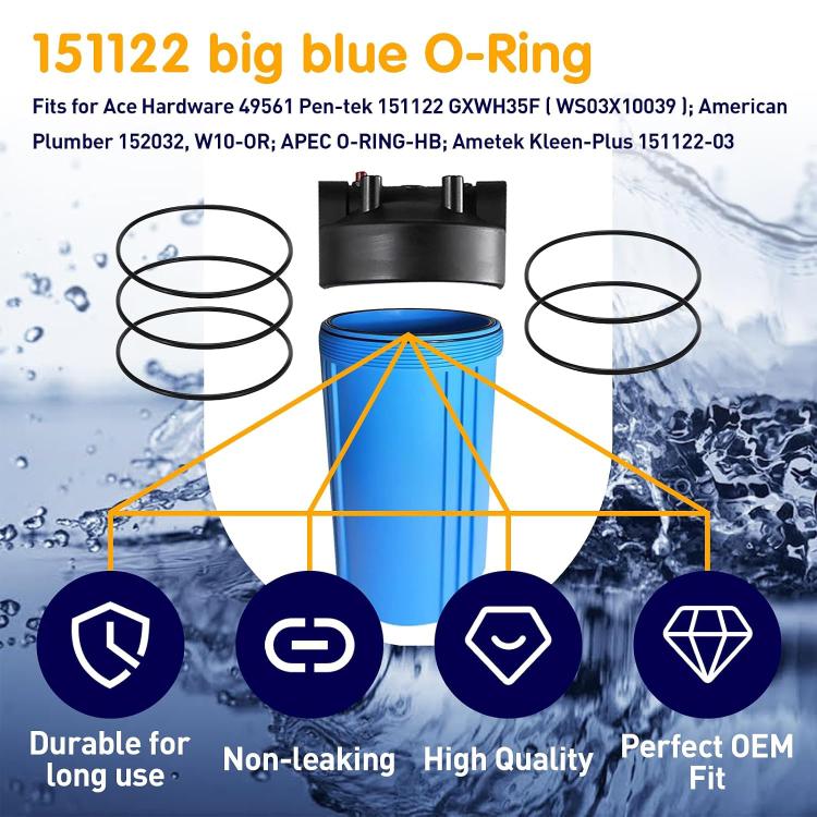 Black O-ring gasket for Pentek 151122, shown with blue filter housing and rings.