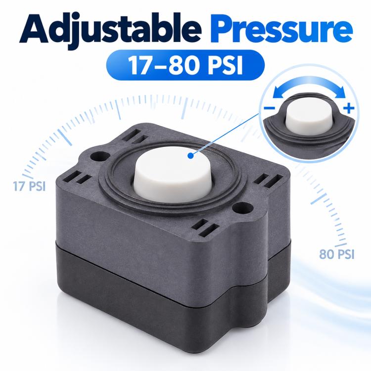 Compact diaphragm pump pressure switch with dark housing and white top control button.