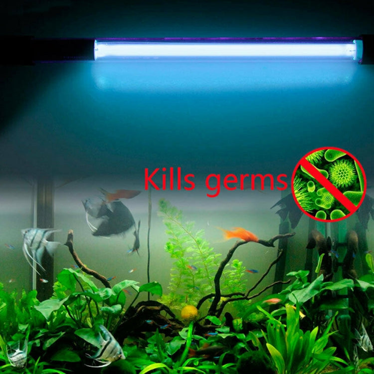 Glowing UV aquarium disinfection lamp above plants and fish with germ icon