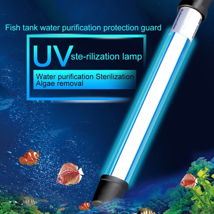 UV sterilization lamp tube emitting blue light above aquarium water