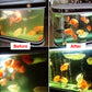 Fish tank before and after treatment with UV sterilizer lamp and blue tube light