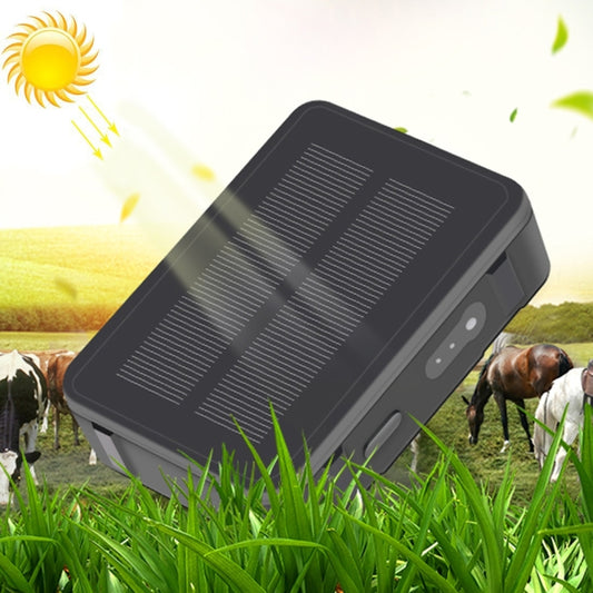 Black solar GPS livestock tracker with built-in solar panel and side indicator light.