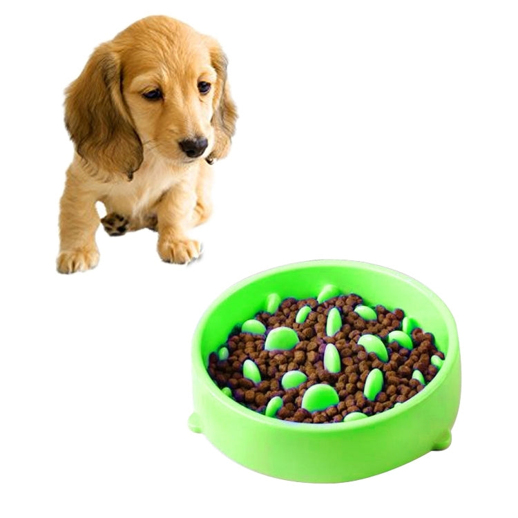 Green anti-choking pet food bowl with raised nubs, filled with dry kibble