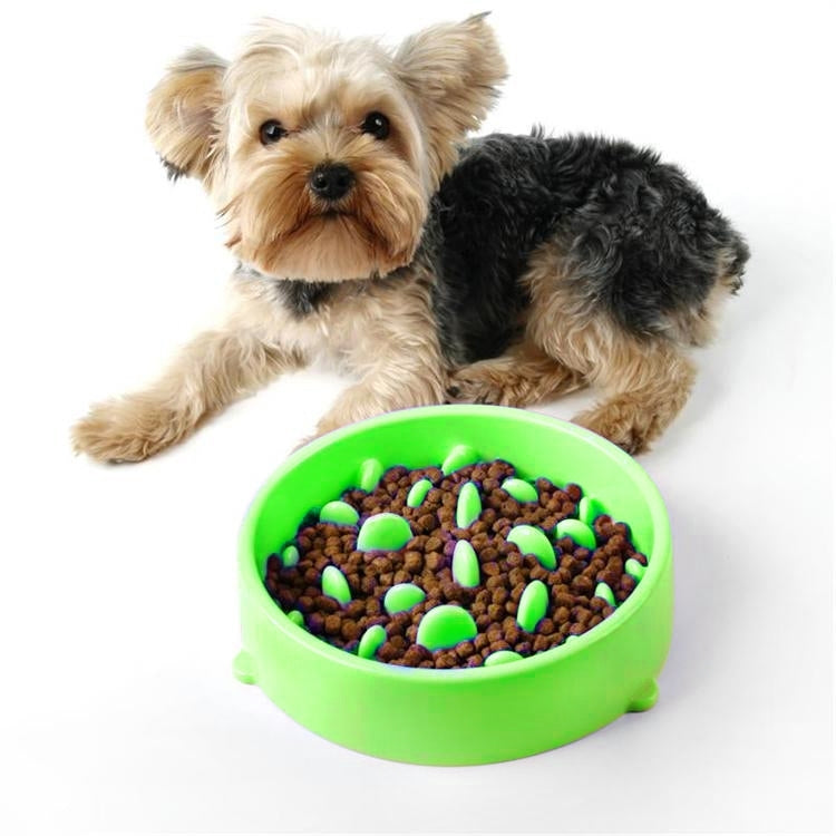 Green anti-choking pet food bowl on floor, filled with kibble and green pieces