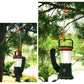 Orange tent light hook securing a lantern from a hanging tree branch