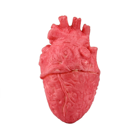 Red fake heart prop, front view with embossed heart chamber details