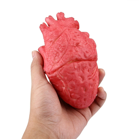 Red fake heart prop with textured veins, held in hand