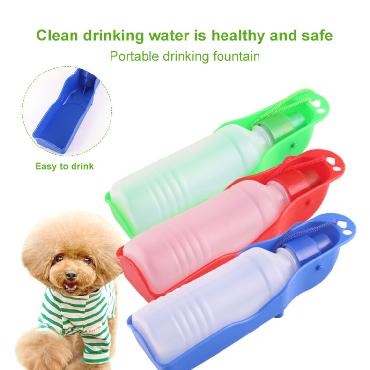 Multi-color portable pet water bottles in blue, red, green, and pink—250ml