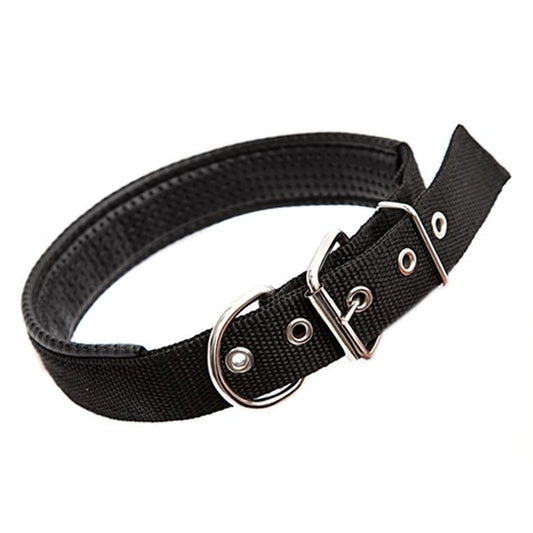 Black pet collar with padded texture, wide strap, metal buckle, and D-ring attachment.