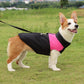 Pet dog padded winter vest, black with pink panels, secure leash strap and zipper