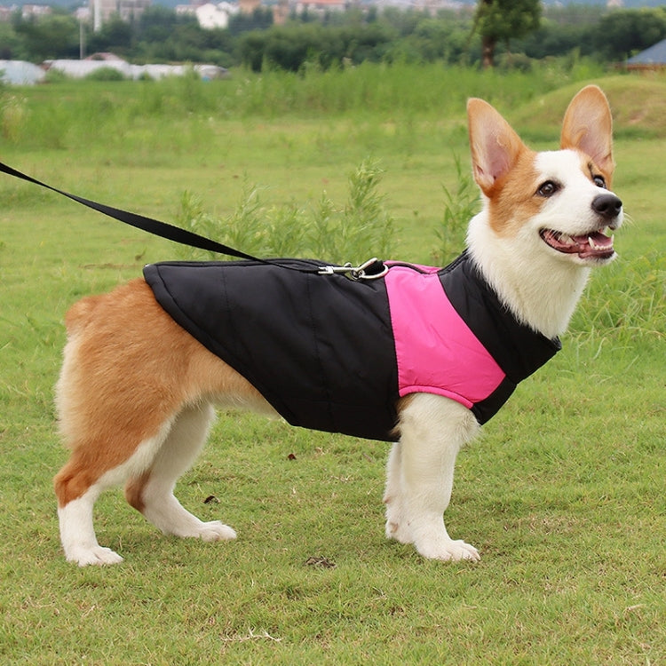Pet dog padded winter vest, black with pink panels, secure leash strap and zipper