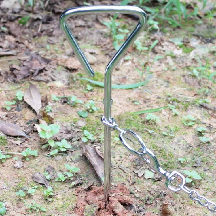 Stainless steel dog tie-out stake planted in ground with U-handle and swivel ring