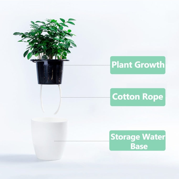 White self-watering planter with inner basket, cotton rope, and water storage base