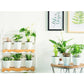 Multiple white self-watering planters with green plants on a wooden shelf