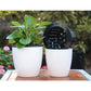 White self-watering planter with green plant and black inner reservoir cover