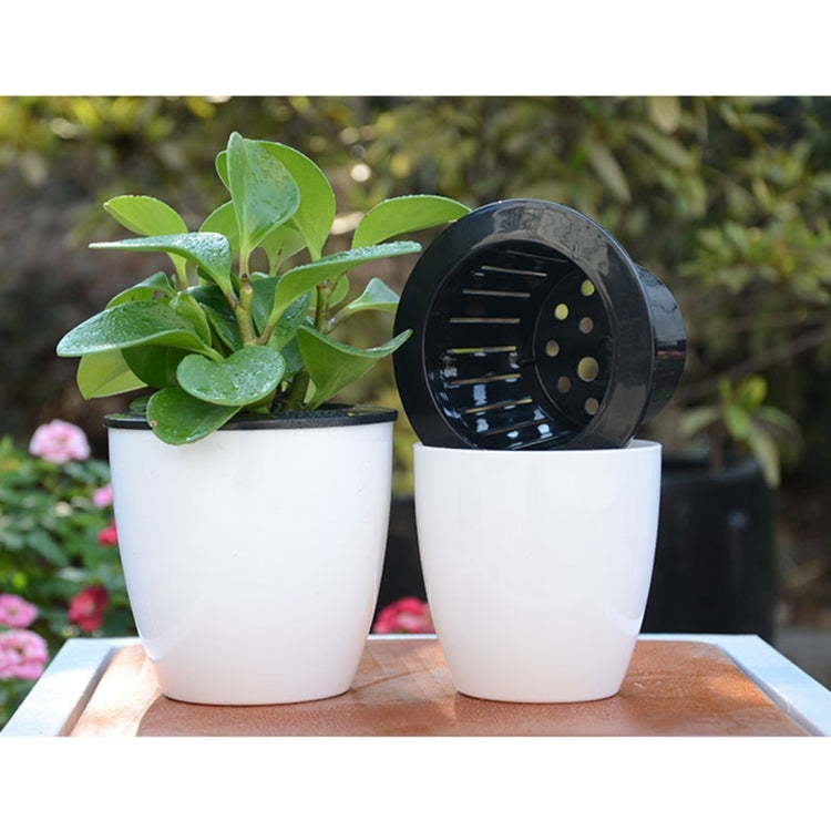 White self-watering planter with green plant and black inner reservoir cover