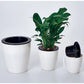 Set of white self-watering planters with black inner inserts, one open