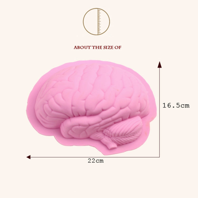 Pink silicone brain-shaped baking mold shown in size illustration.
