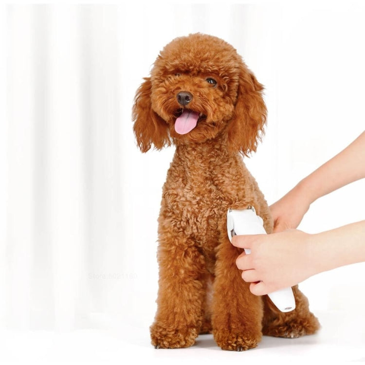 Pet dog being groomed with a handheld electric pet grooming clipper