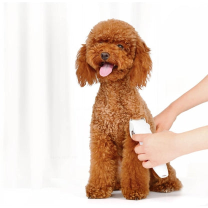 Pet dog being groomed with a handheld electric pet grooming clipper