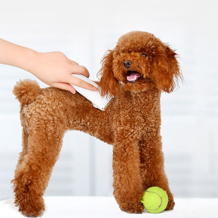 Handheld light gray electric pet grooming clipper held while trimming a brown dog