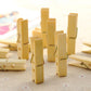 Assorted bamboo peg clothespins with metal springs, small clips for hanging