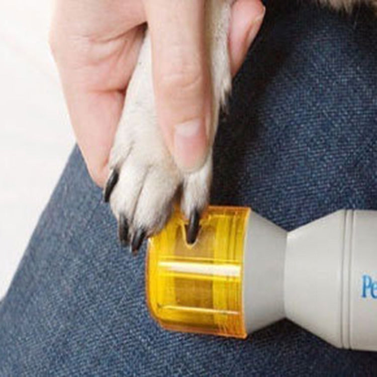 Hand holding electric pet nail grinder with orange head near dog paw
