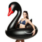 Black inflatable swan ring with red beak, front view with white seam outlines