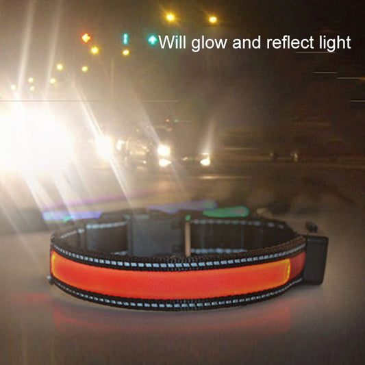 LED pet collar glowing orange reflective strip with black webbing and light housing