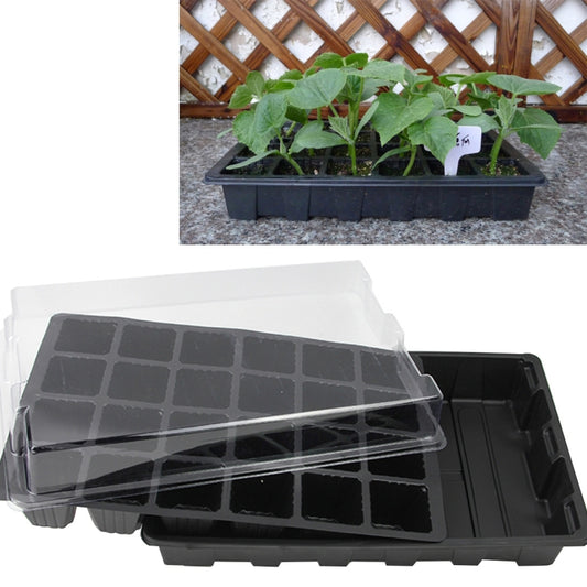 24-hole seedling sprout tray with clear cover, black plastic nursery pot