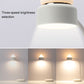 Close-up cat LED desk lamp with ribbed shade and three-level brightness glow