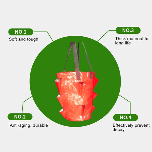 Red hanging strawberry planting bag sample pouch-style planter with two handles
