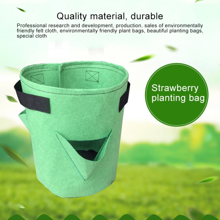 Light green felt strawberry planting bag with black strap handle and side pockets