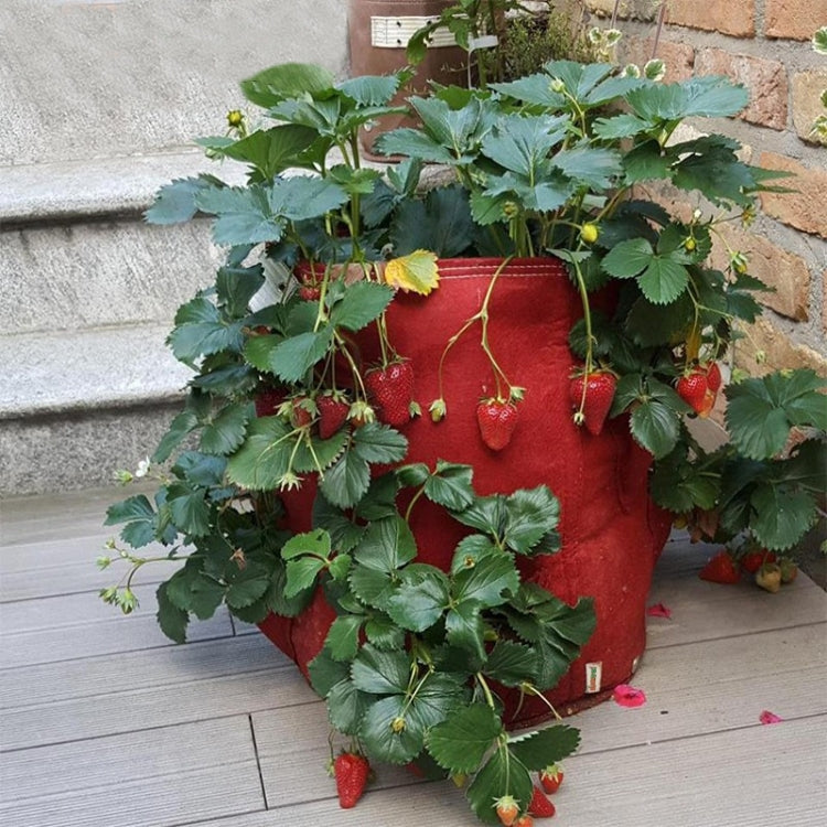 Red non-woven felt strawberry planting bag with multiple front pocket openings