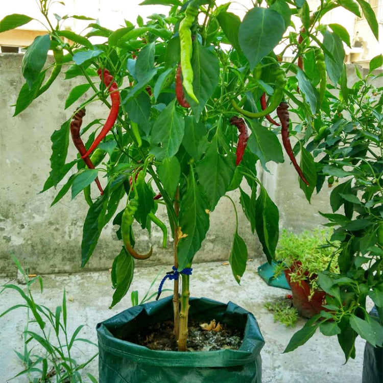 Green non-woven felt planting bag with a central plant and side opening