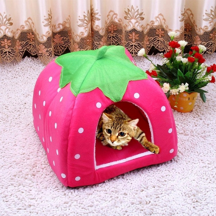 Pink strawberry-pattern pet tent with green leaf top; cat inside front opening