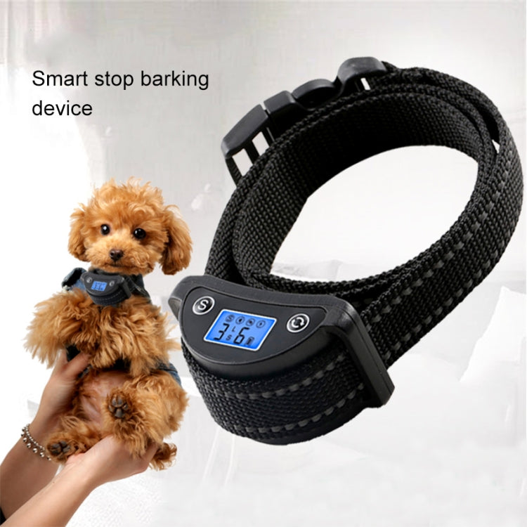 Black anti-barking dog training collar with LCD remote on small dog