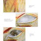 Fish scratching toy diagram showing plush interior and wear-resistant fabric