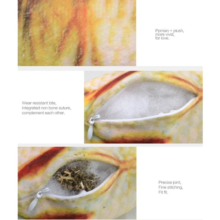 Fish scratching toy diagram showing plush interior and wear-resistant fabric