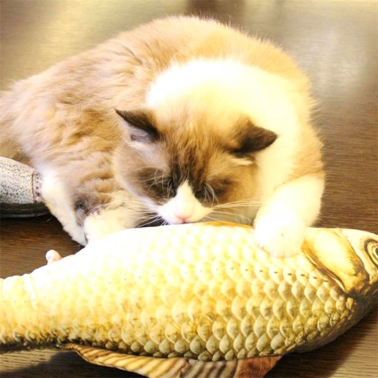 Cat lying on fish-shaped scratching toy; textured plush scales and dark fin