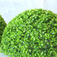 Artificial green plant ball topiary close-up, dense leaf-like texture