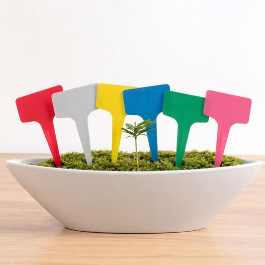 T-type plant labels, colorful plastic stakes in a white pot with small seedling