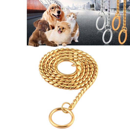 Gold snake-chain pet collar with round clasp ring