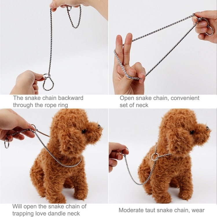 Snake-chain pet collar with round rings and open-link design, silver tone