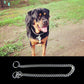 Dog wearing a silver metal snake-chain pet collar with round ring closure