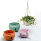 Multiple hanging plastic flower pots with chains, each holding small green plants