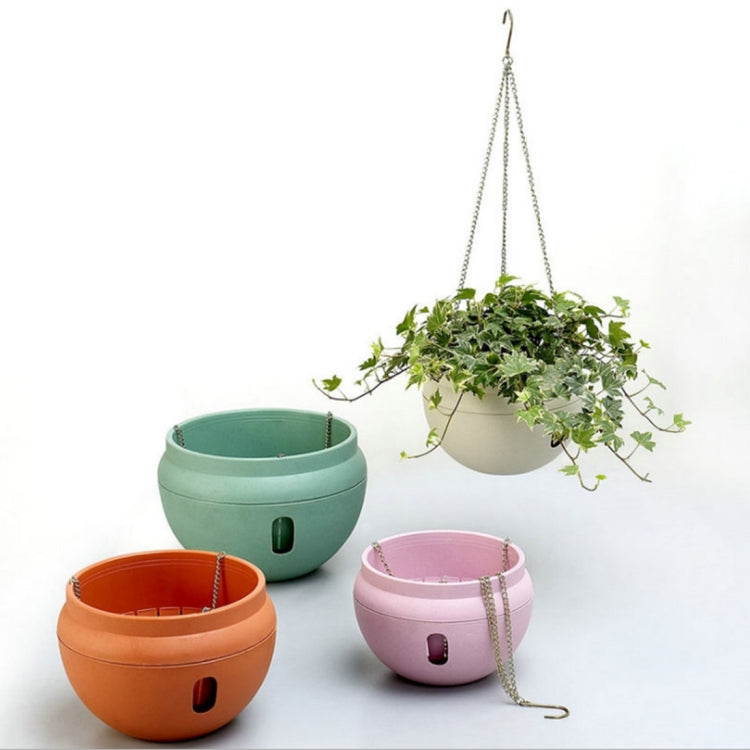 Multiple hanging plastic flower pots with chains, each holding small green plants